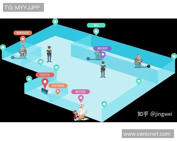 深圳排球队的运营策略解析与发展前景展望