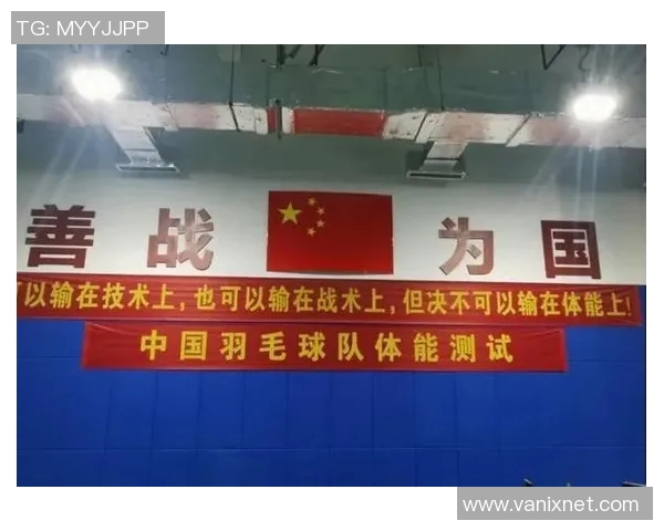 南京羽毛球队近期状态分析及比赛表现评估报告 南京羽毛球队近期状态分析及比赛表现评估报告