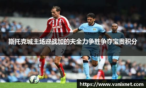 斯托克城主场迎战加的夫全力争胜争夺宝贵积分