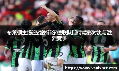 布莱顿主场迎战谢菲尔德联队期待精彩对决与激烈竞争