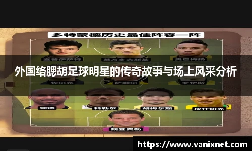 外国络腮胡足球明星的传奇故事与场上风采分析